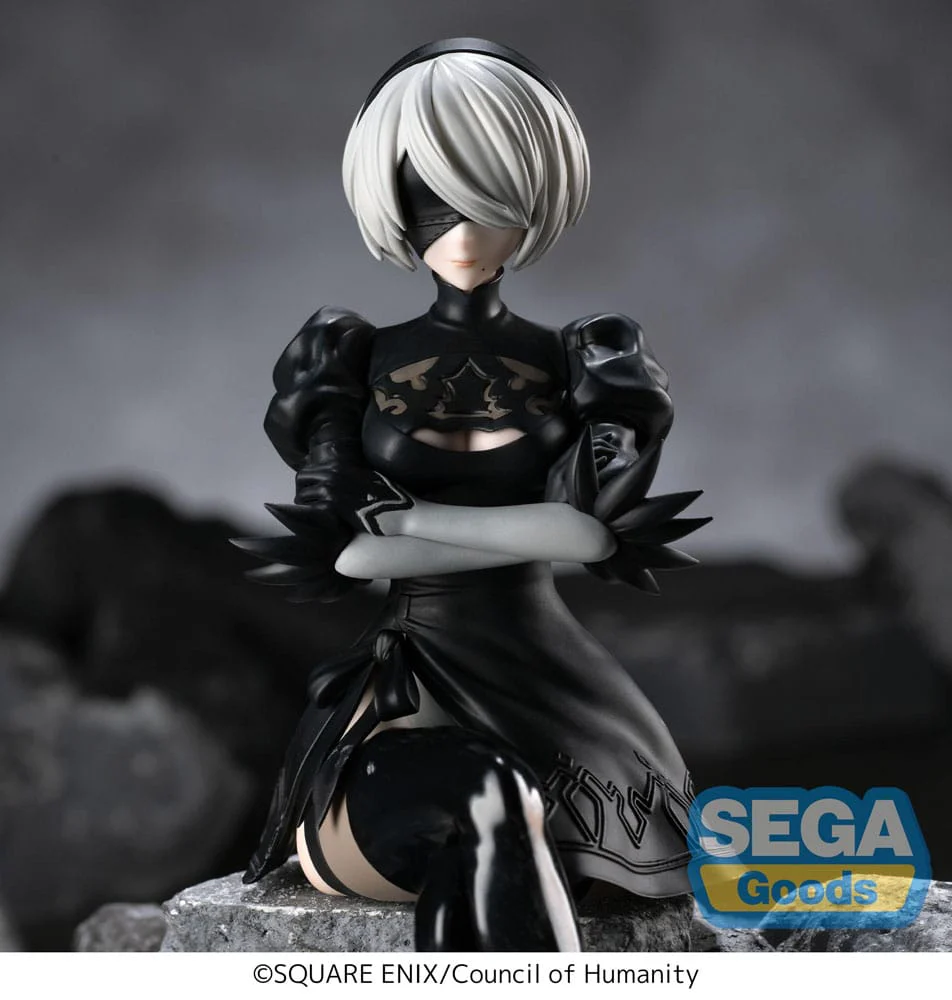 2B PM Perching Sega - Image 6