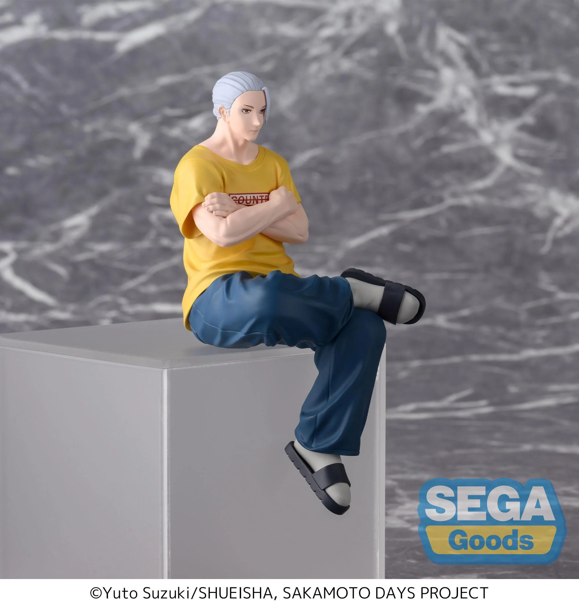 Taro Sakamoto Serious Ver. PM Perching Sega - Image 5