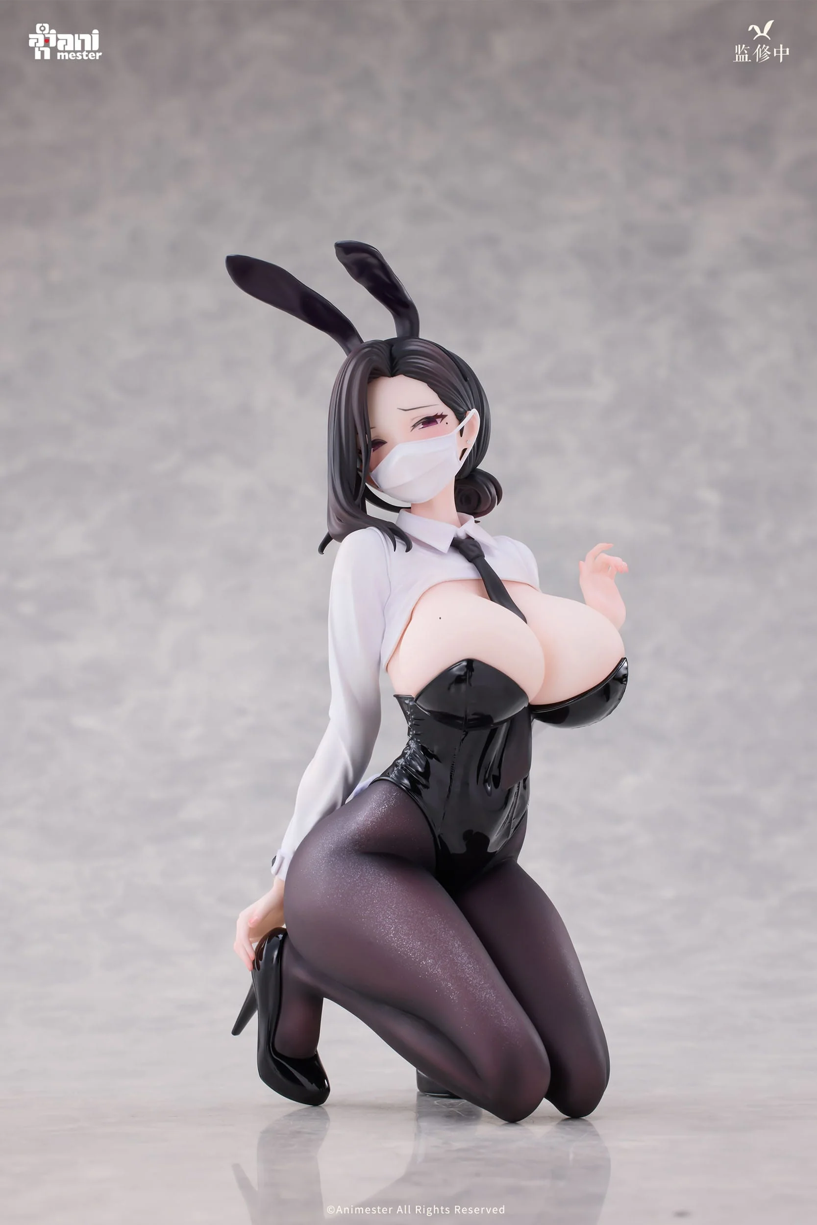 Dongtan Bunny Girl Original Character AnimMeser - Image 7