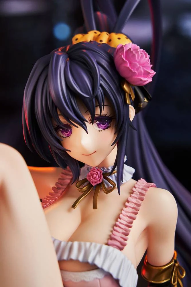 Himejima Akeno: Light Novel 15th Anniversary ver. AMI AMI LIMITED Kadokawa - Image 14