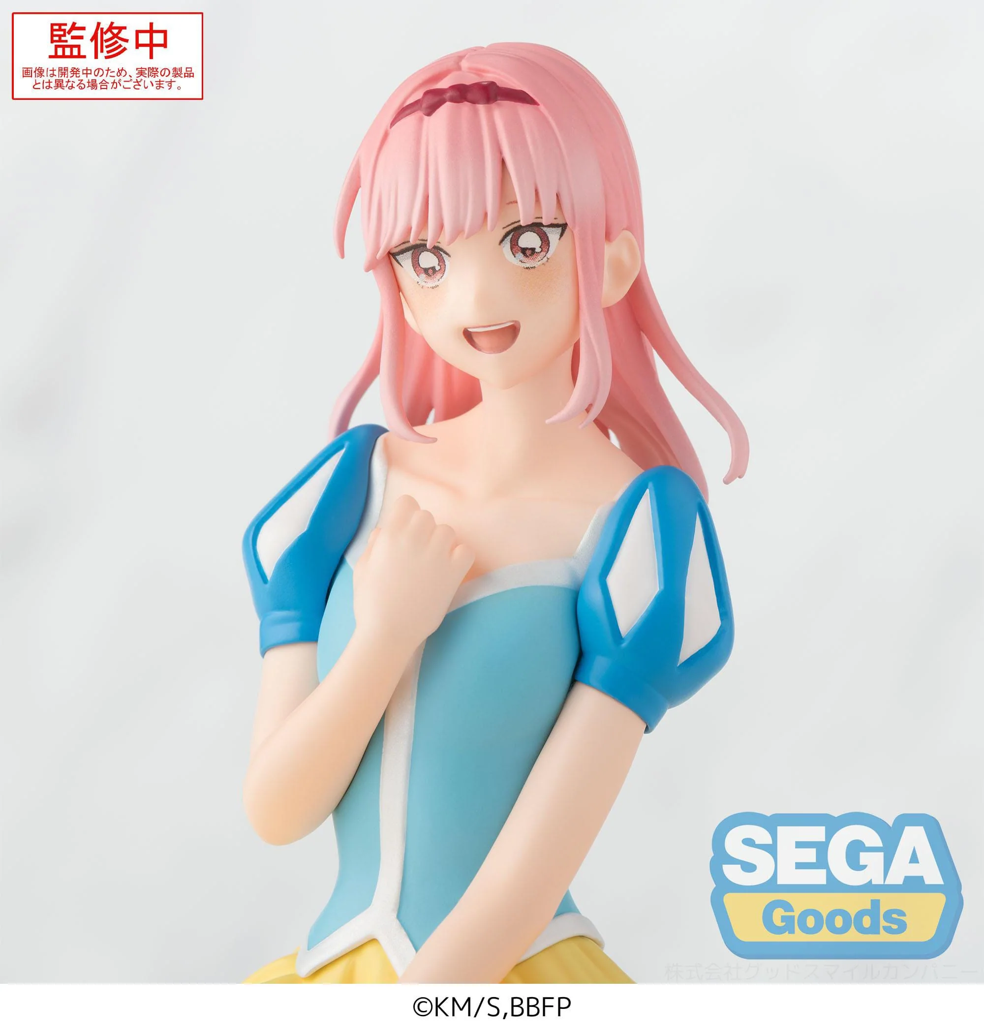 Hina Chono Cultural Festival Ver. PM Perching Sega - Image 5