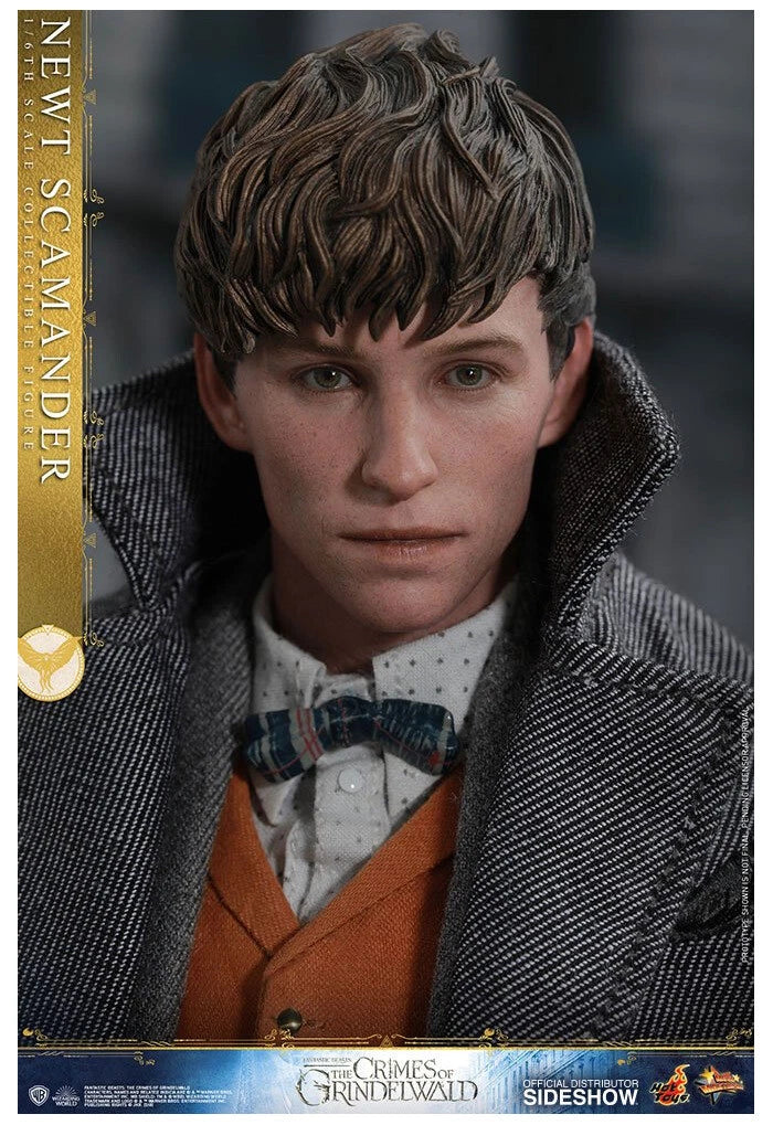 Newt Scamander 1/6 Scale Collectible Figure – Hot Toys (Fantastic Beasts: The Crimes of Grindelwald) - Image 11
