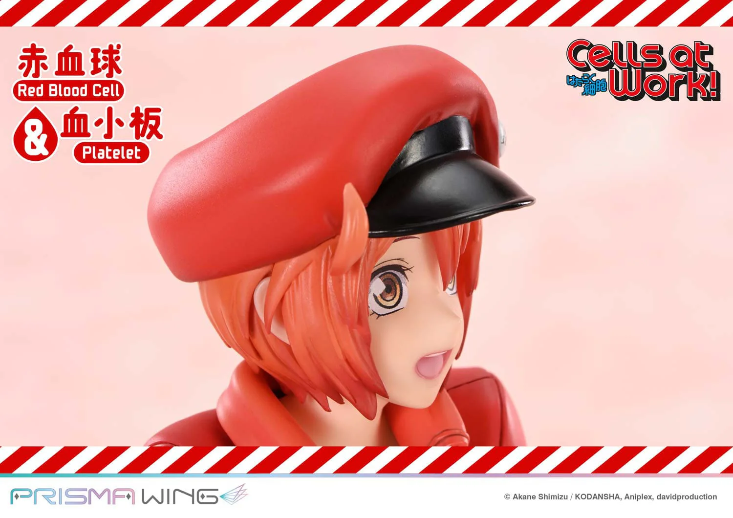 Red Blood Cell & Platelet Prisma Wing Prime 1 Studio - Image 10