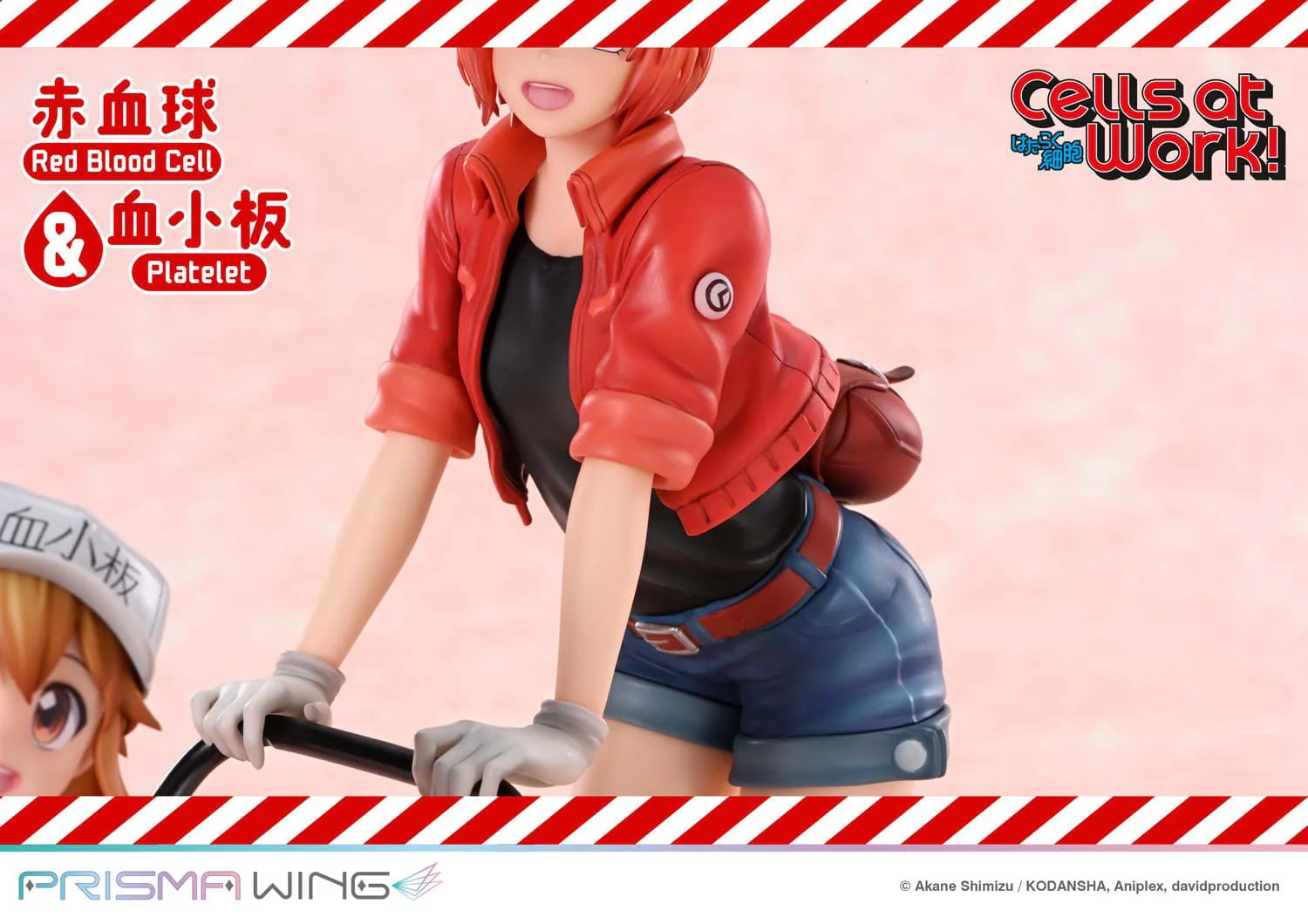 Red Blood Cell & Platelet Prisma Wing Prime 1 Studio - Image 15