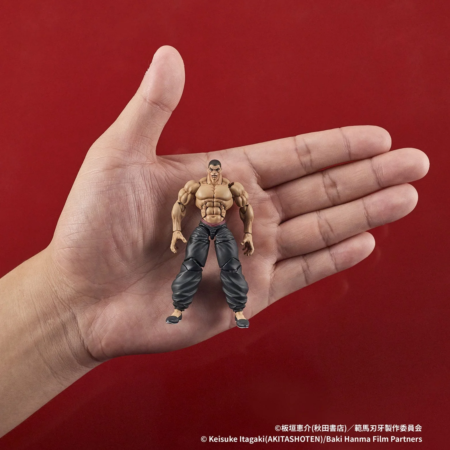 Retsu Kaioh Digaction Actionfigur Digism - Image 11