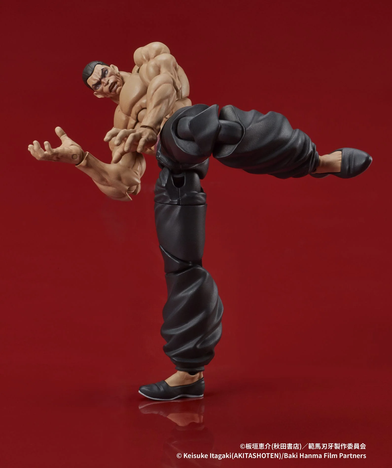 Retsu Kaioh Digaction Actionfigur Digism - Image 6