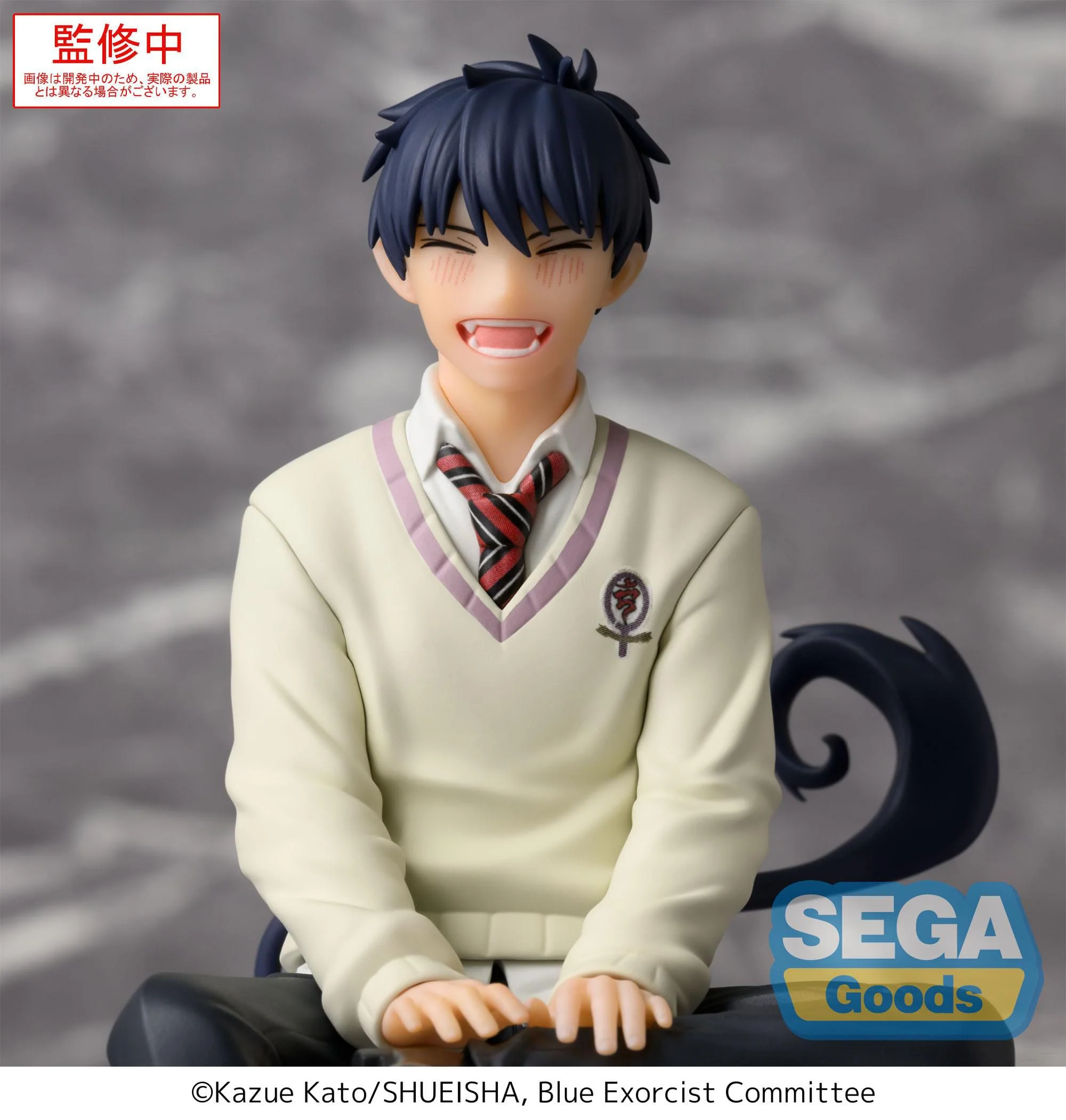 Rin Okumura PM Perching Sega - Image 2