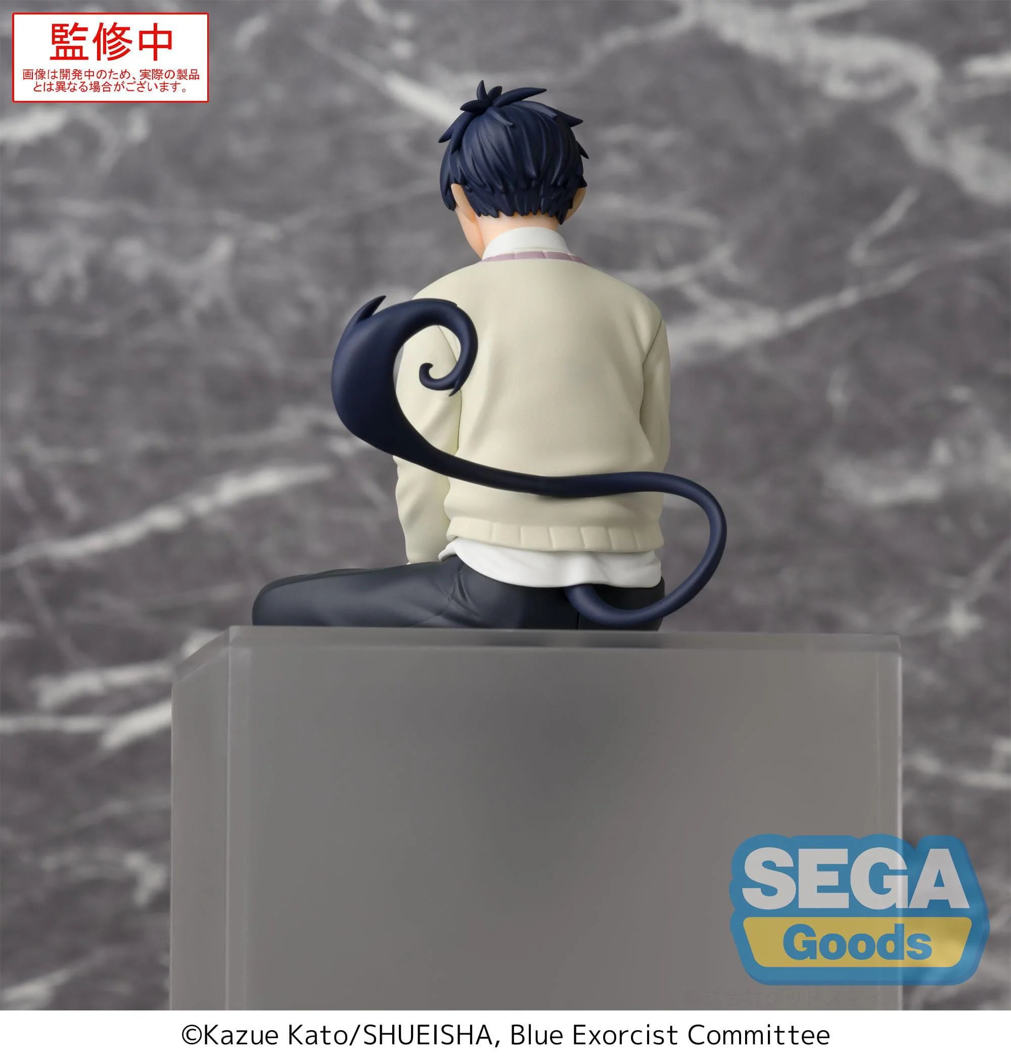 Rin Okumura PM Perching Sega - Image 3