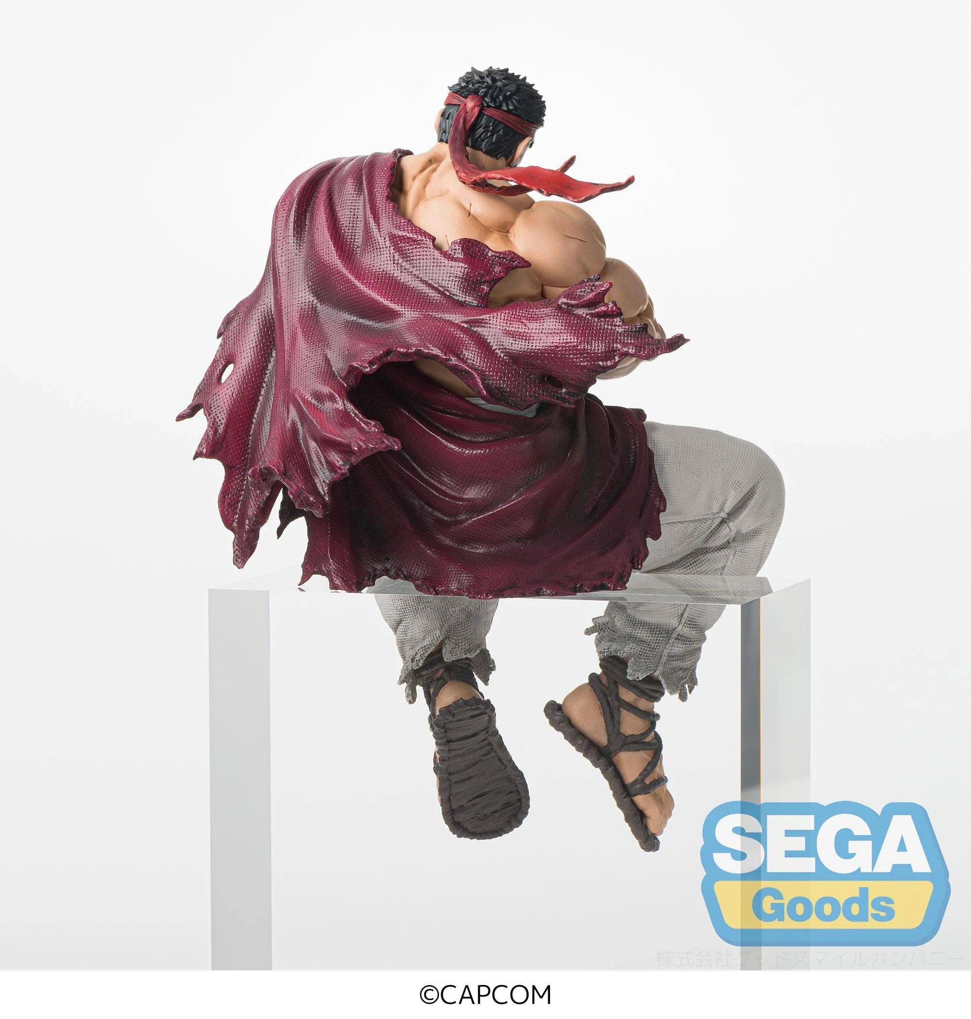 Ryu PM Perching Sega - Image 3