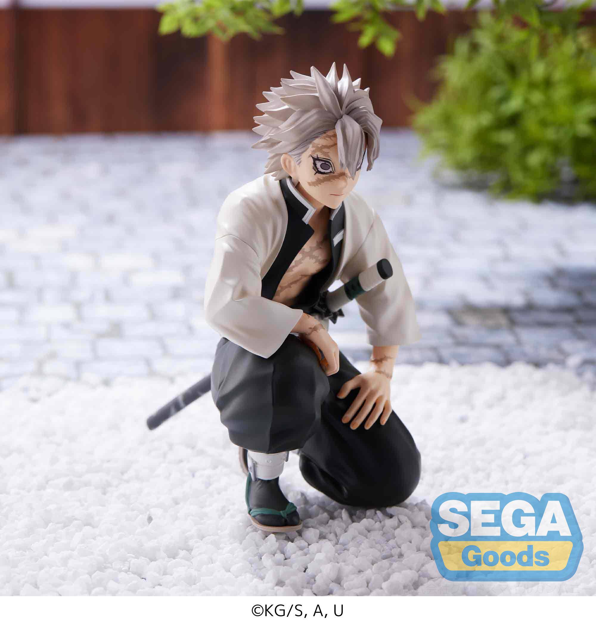 Sanemi Hashira PM Perching Sega - Image 5
