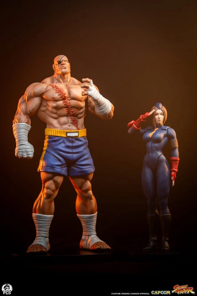 Street Fighter Street Jam Statuen 1/10 Sagat & Juli 24 cm - Image 2