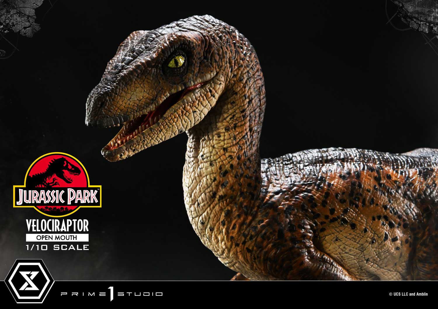 Velociraptor Open Mouth Prime 1 Studios - Image 9